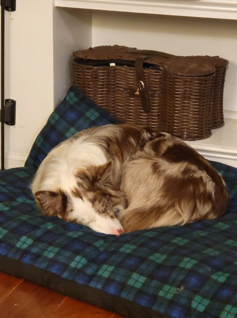 Melonbed